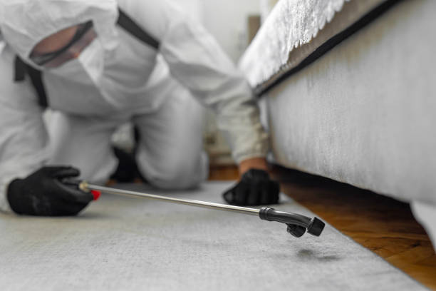 Professional Cockroach Control technician working in Hartley, CA