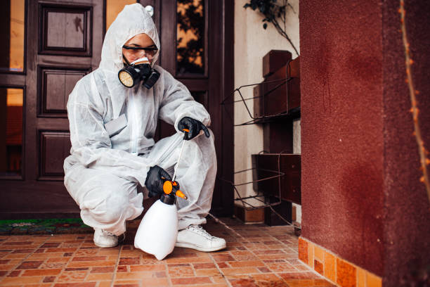 Reliable Cockroach Control contractor in Hartley, CA by Nex Pest Control